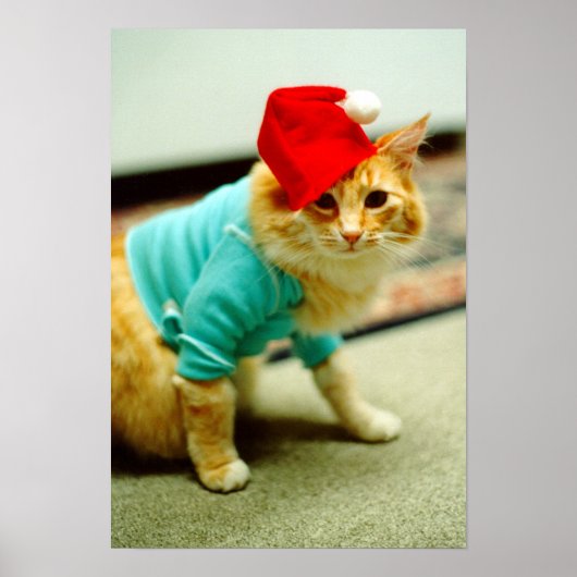 Fatso, Original Keyboard Cat 1984 Poster (Voorkant)