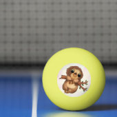 Faultier Tischtennisball Pingpongbal (Net)