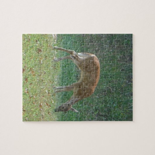 Faun, baby deer at Lake Arrowhead Legpuzzel (Horizontaal)