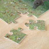 Faun, baby deer at Lake Arrowhead Legpuzzel (Zijkant)
