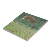 Faun, baby deer at Lake Arrowhead Tegeltje (Zijkant)