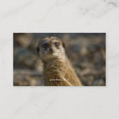 Fauna - Visitekaartje Meerkat (Achterkant)