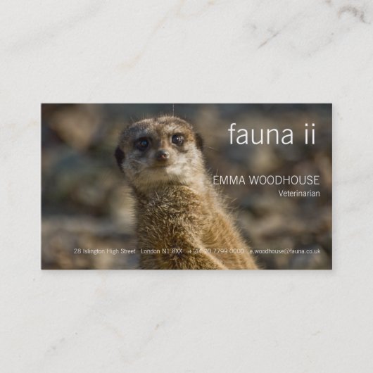Fauna - Visitekaartje Meerkat (Voorkant)