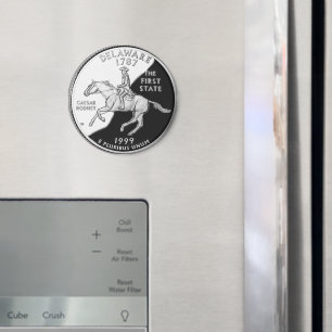 Faux Delaware State Quarter Magneet