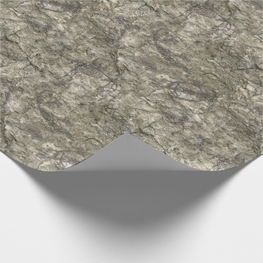 Faux Fossil Cadeaupapier (Hoek)