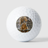 Faux fox eekhoorn golfballen (Voorkant)