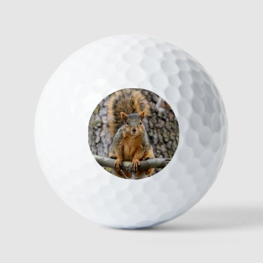 Faux fox eekhoorn golfballen (Voorkant)