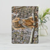 Faux fox eekhoorn kaart (Staand voorkant)