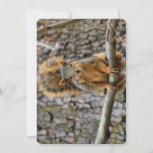 Faux fox eekhoorn kaart (Voorkant)