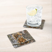 Faux fox eekhoorn kartonnen onderzetters (Insitu)