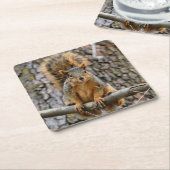 Faux fox eekhoorn kartonnen onderzetters (Schuin)