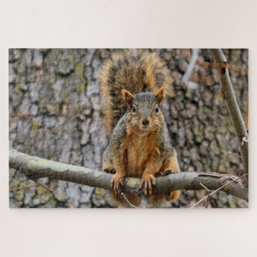 Faux fox eekhoorn legpuzzel (Horizontaal)