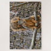 Faux fox eekhoorn legpuzzel (Verticaal)