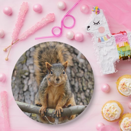 Faux fox eekhoorn papieren bordje (Feest)