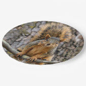 Faux fox eekhoorn papieren bordje (Gekanteld)