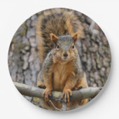 Faux fox eekhoorn papieren bordje (Voorkant)