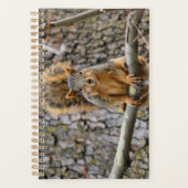 Faux fox eekhoorn planner (Voorkant)
