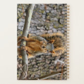 Faux fox eekhoorn planner (Achterkant)