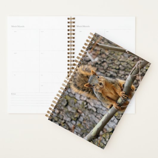 Faux fox eekhoorn planner (Display)