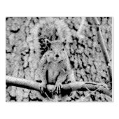 Faux fox eekhoorn rubberstempel (Afrduk)