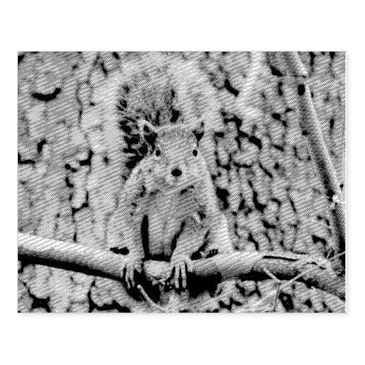 Faux fox eekhoorn rubberstempel (Afrduk)