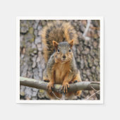 Faux fox eekhoorn servet (Voorkant)