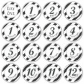 Faux Glitter Baby Milestone Stickers (Voorkant)