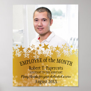 Faux gouden fotomedewerker van het maandcertificaa poster