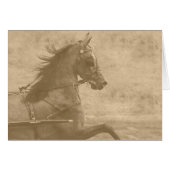 Faux  Hackney (Voorkant Horizontaal)