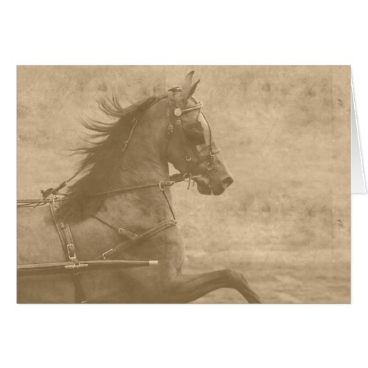 Faux  Hackney (Voorkant Horizontaal)