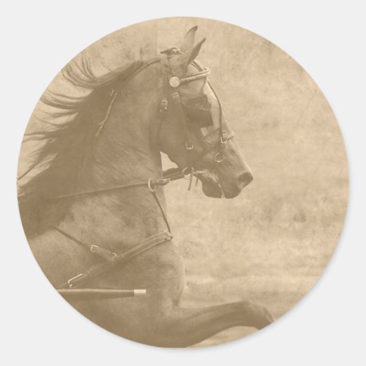 Faux Hackney Ronde Sticker (Voorkant)