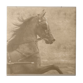 Faux Hackney Tegeltje