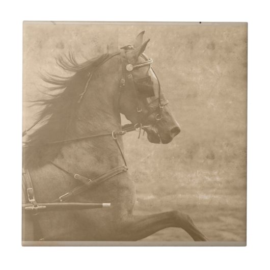 Faux  Hackney Tegeltje (Voorkant)