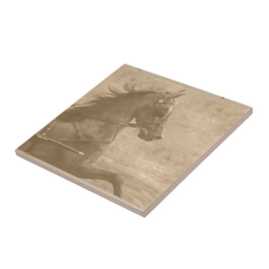 Faux  Hackney Tegeltje (Zijkant)