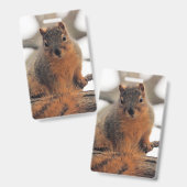 Faux possum badge (Voor- en achterkant)