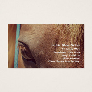 Faux Sorrel Horse Visitekaartje