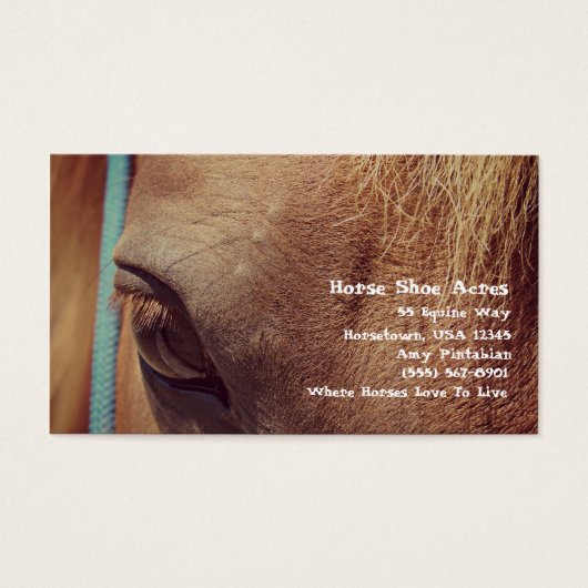 Faux  Sorrel Horse Visitekaartje (Voorkant)