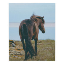 Faux Wrapped Canvas - Schilderachtig Paard