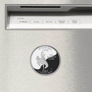 Faux Wyoming State Quarter Magneet