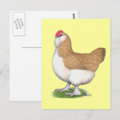 Faverolle Hen Briefkaart (Voorkant / Achterkant)