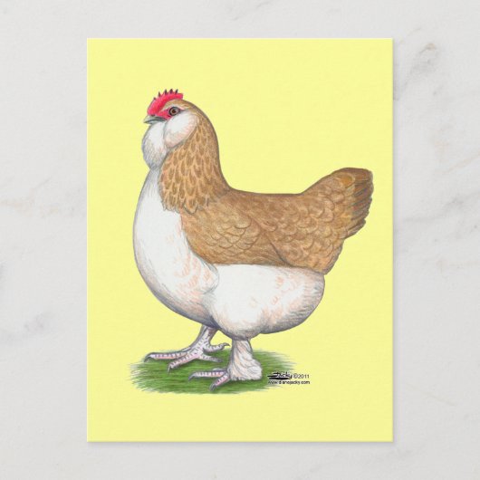 Faverolle Hen Briefkaart (Voorkant)