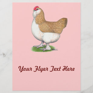Faverolle-hen Flyer