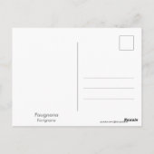 Favignana (Italië) Briefkaart (Achterkant)