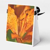 Favor Doos & Cadeaus Bedankdoosjes (Achterkant)
