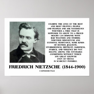 Favoriete condities Groei Nietzsche Poster