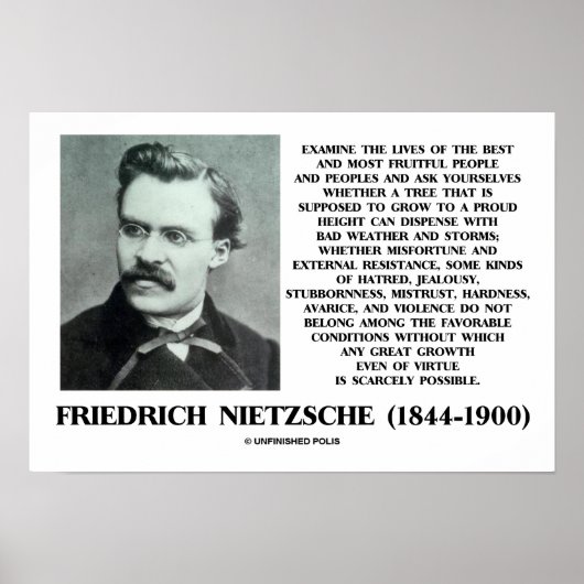 Favoriete condities Groei Nietzsche Poster (Voorkant)