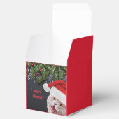 Favoriete doos, Vrolijke Hisma's Bedankdoosjes (Geopend)