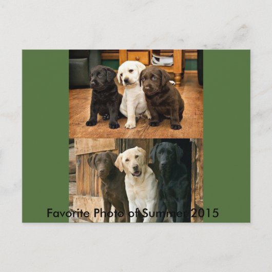 Favoriete foto van 2015: Briefkaart (Voorkant)