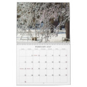 Favoriete foto's 2008 kalender (Feb 2027)