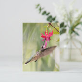 Favoriete Fuchsia Hummingbird Briefkaart (Staand voorkant)